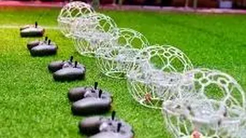 激情对决！意甲焦点战：热那亚迎战卡利亚里，精彩比分即刻揭晓！